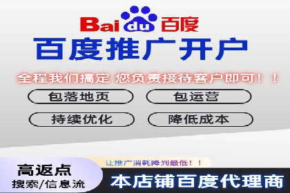 从小白到高手：百度竞价赚钱全记录